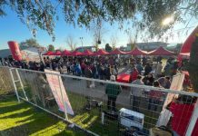 Reciclaje y servicios sociales marcaron despliegue de la Municipalidad de Talca