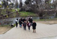 Luz verde para construcción de pasarela peatonal sobre el Piduco en calle 9 oriente