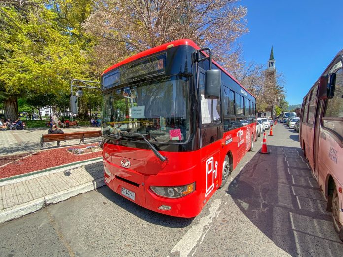 WhatsApp-Image-2025-01-06-at-17.24.44-696x522