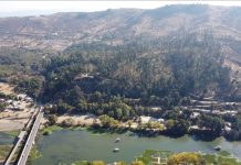 Talca se adjudica proyecto de la FAO para reforestar 15 hectáreas de su Bosque Municipal