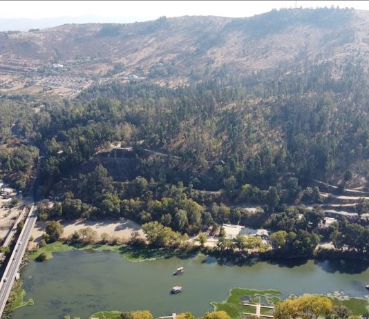 Talca se adjudica proyecto de la FAO para reforestar 15 hectáreas de su Bosque Municipal