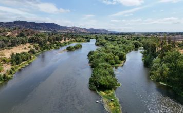 Talquinos conmemoran el Día Mundial de los Humedales con recorrido guiado a bordo de un catamarán