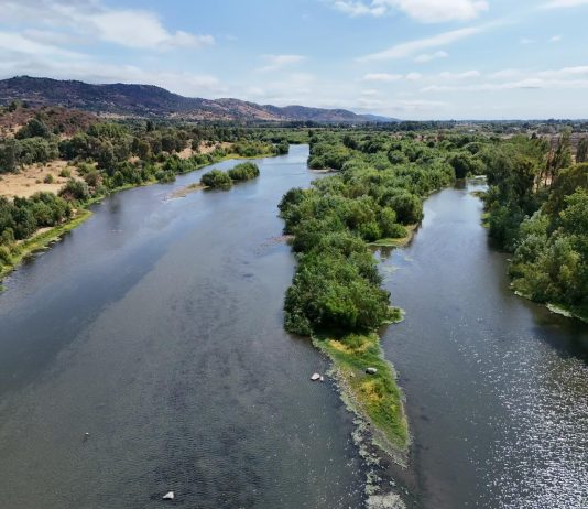 Talquinos conmemoran el Día Mundial de los Humedales con recorrido guiado a bordo de un catamarán